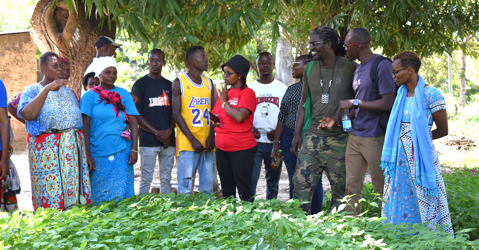 Farmers in Kilifi County showcase their thriving nursery bed of cowpeas and other tree seedlings to the visiting ANF team from Senegal